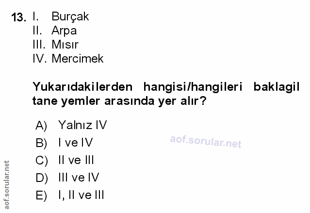 Soru 13