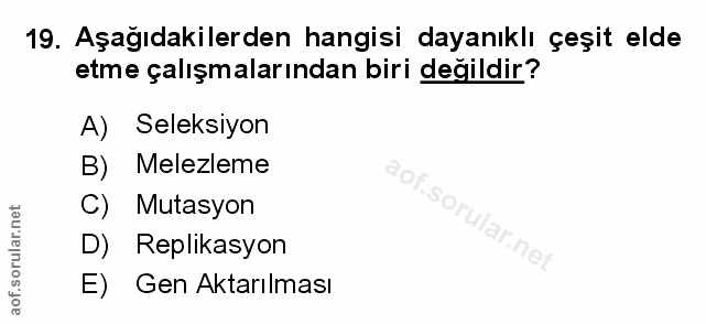 Soru 19