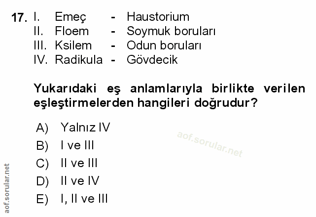 Soru 17
