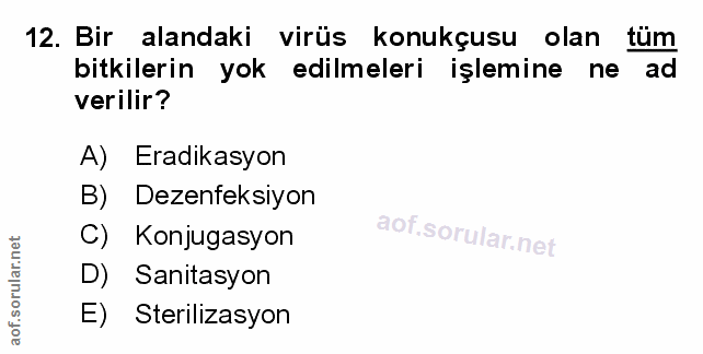 Soru 12