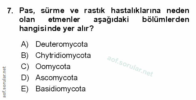 Soru 7