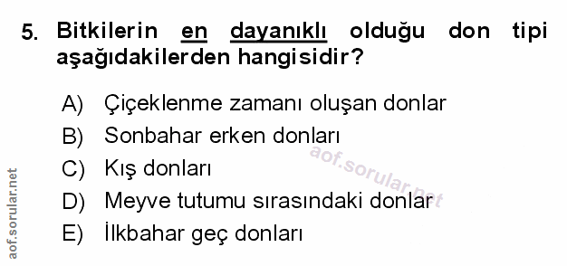 Soru 5