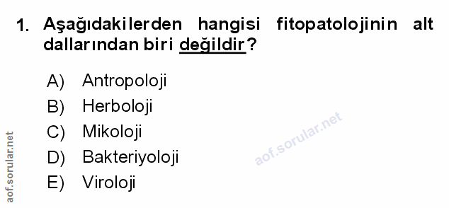 Soru 1