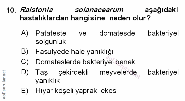 Soru 10