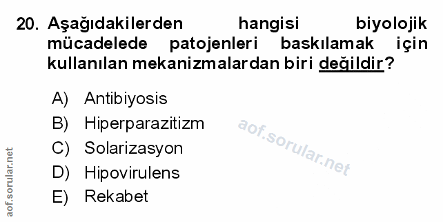 Soru 20