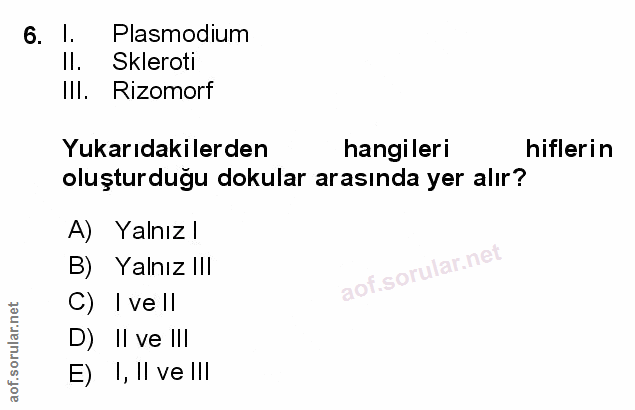 Soru 6