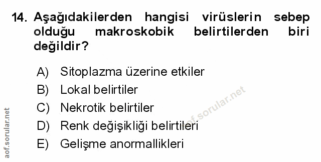 Soru 14
