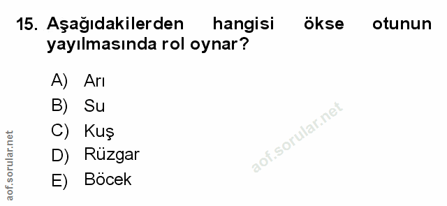Soru 15