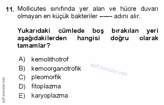 Soru 11