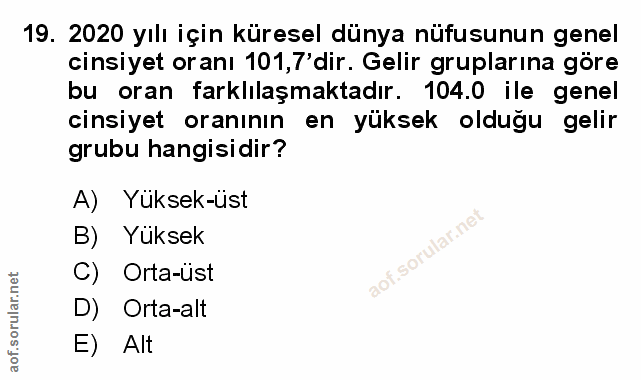 Soru 19