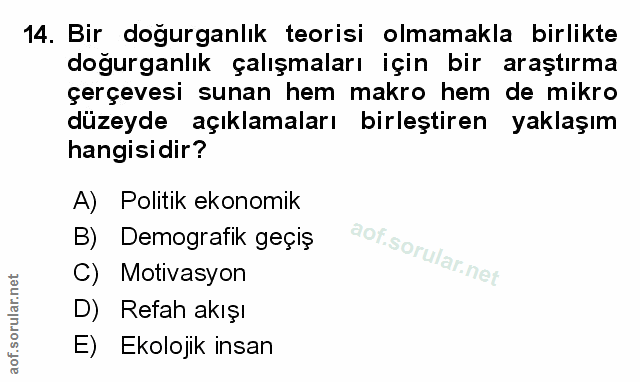 Soru 14