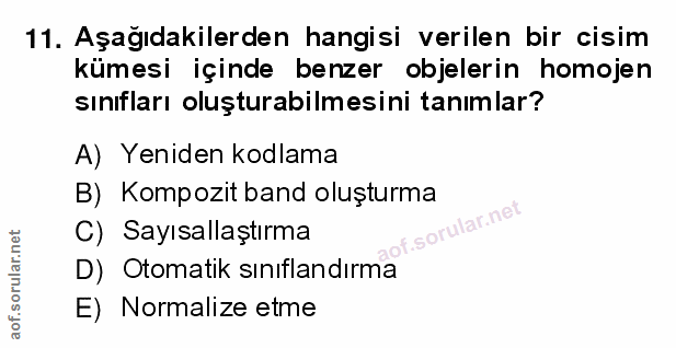 Soru 11