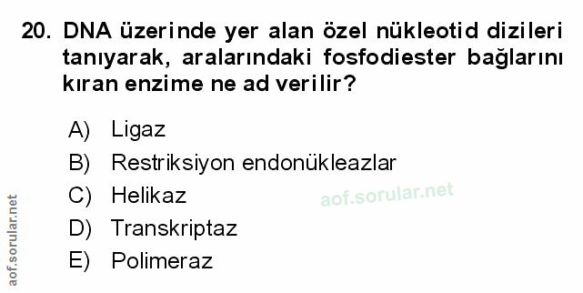 Soru 20