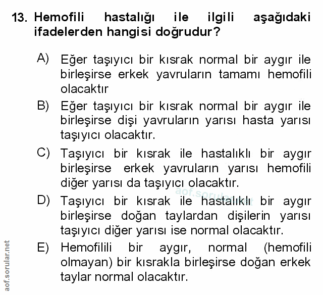 Soru 13