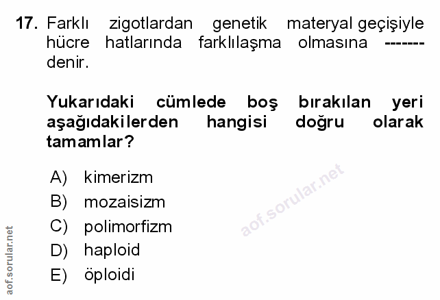 Soru 17