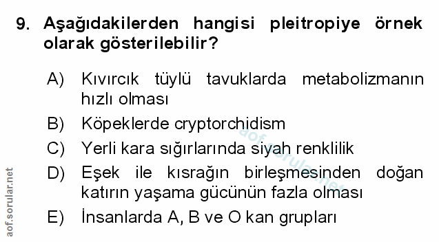 Soru 9