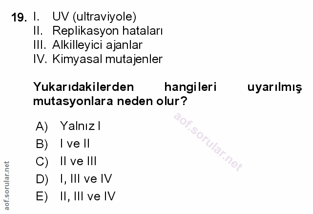 Soru 19