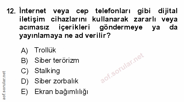 Soru 12