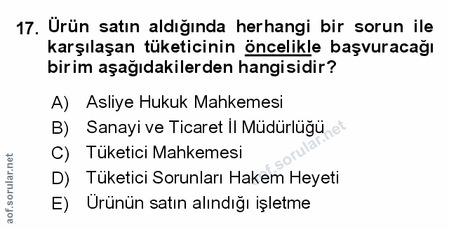 Soru 17