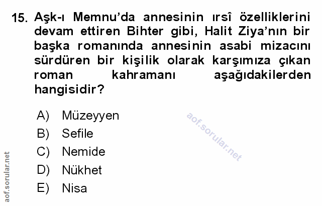 Soru 15
