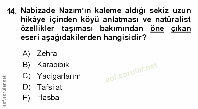 Soru 14