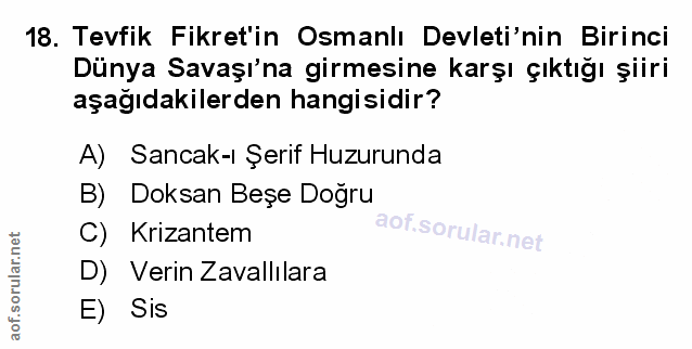 Soru 18