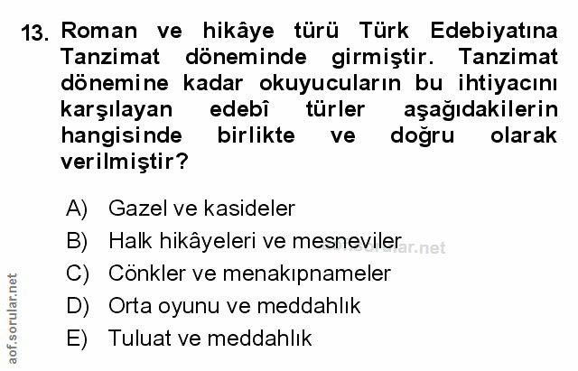 Soru 13