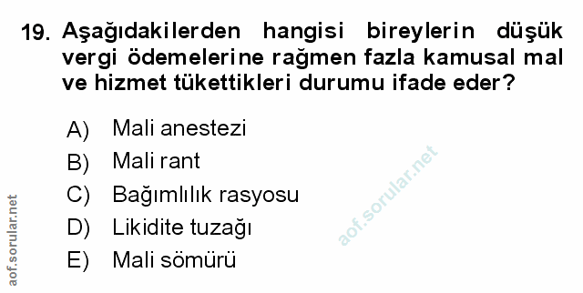 Soru 19