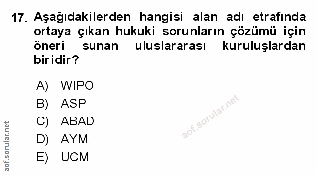 Soru 17