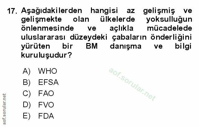 Soru 17