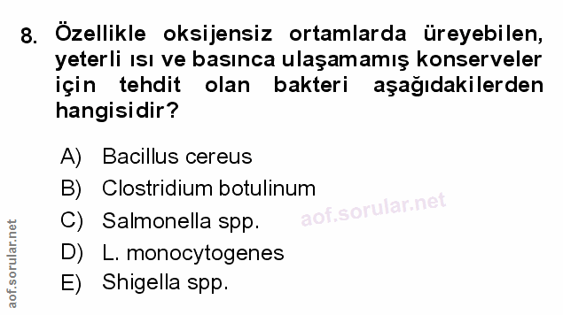 Soru 8