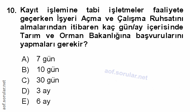 Soru 10