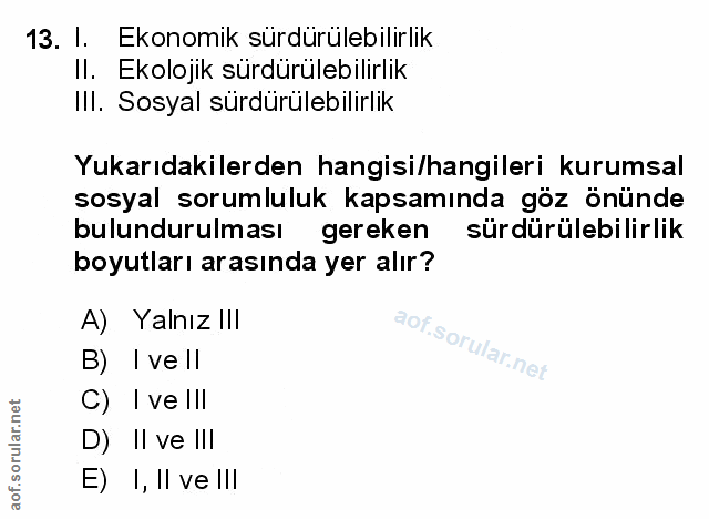 Soru 13