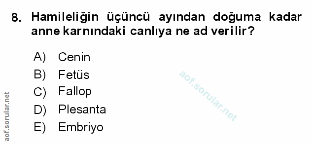 Soru 8