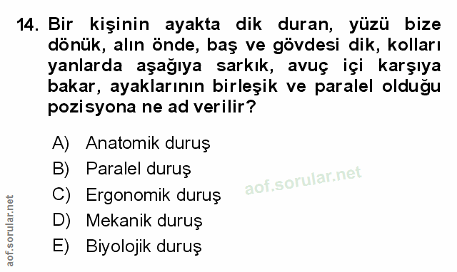 Soru 14
