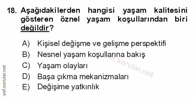Soru 18