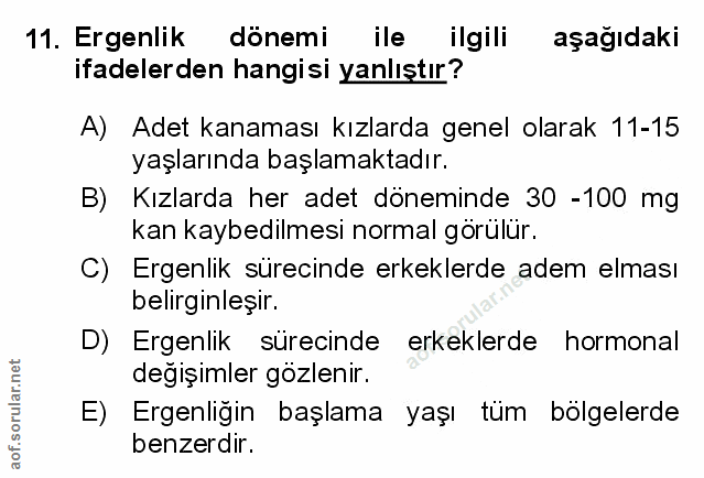 Soru 11