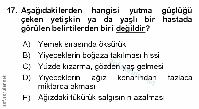 Soru 17