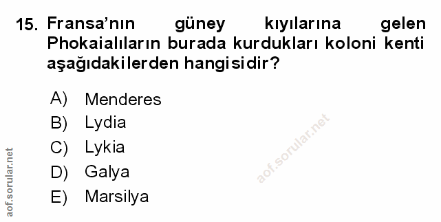 Soru 15