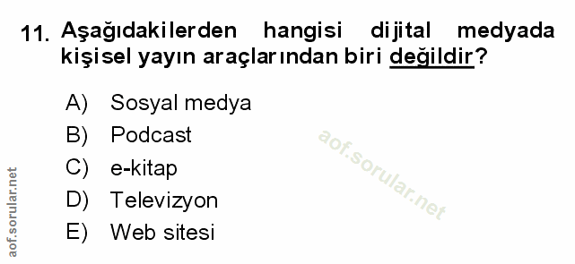 Soru 11