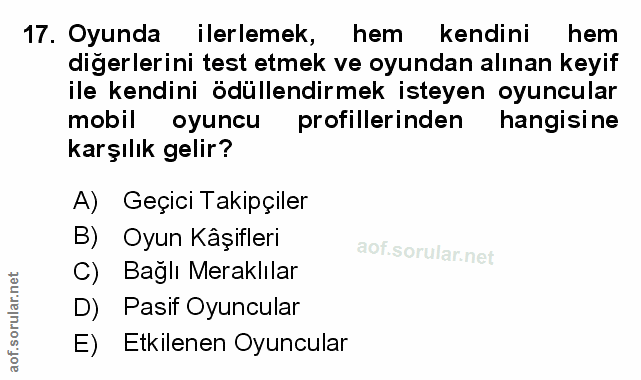 Soru 17
