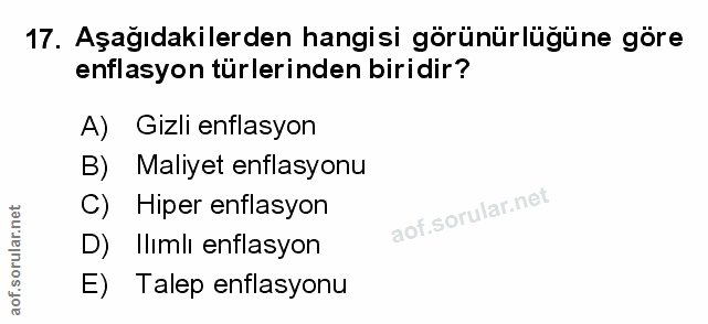 Soru 17