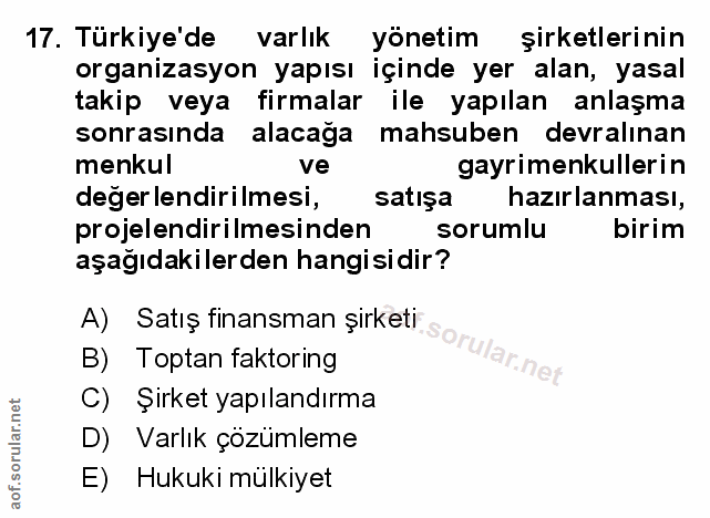 Soru 17