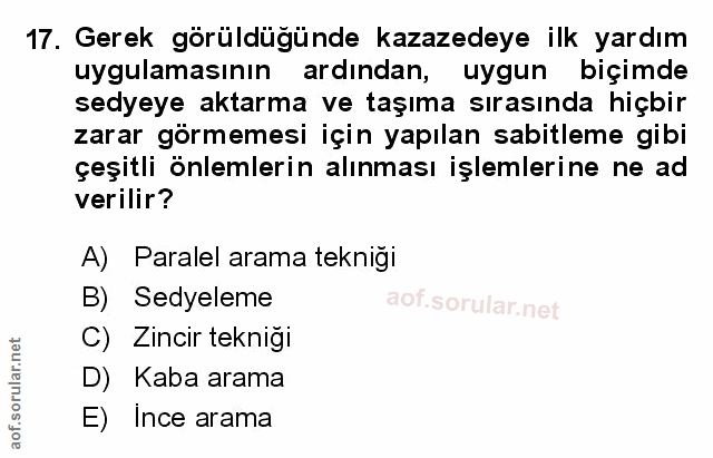 Soru 17