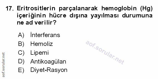 Soru 17