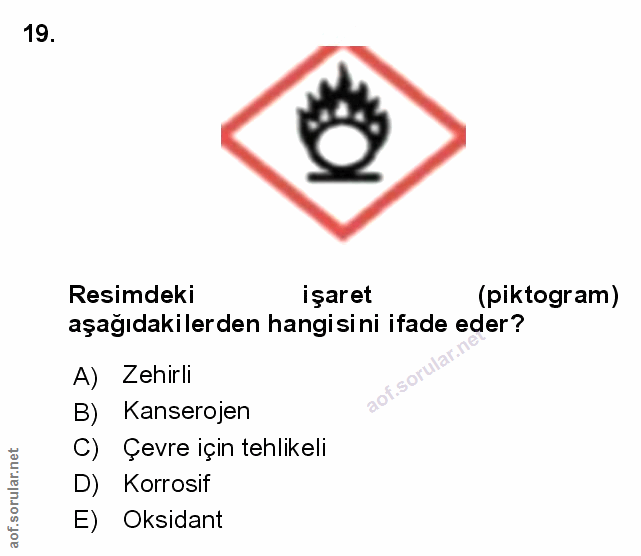 Soru 19