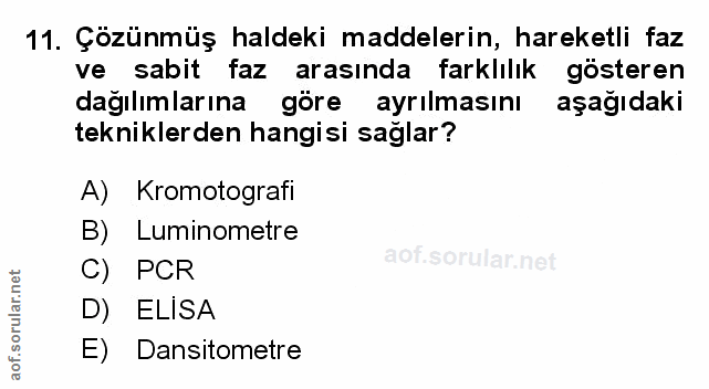 Soru 11