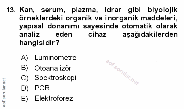 Soru 13