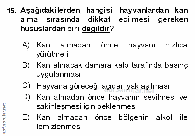 Soru 15