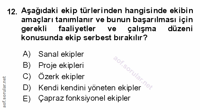 Soru 12